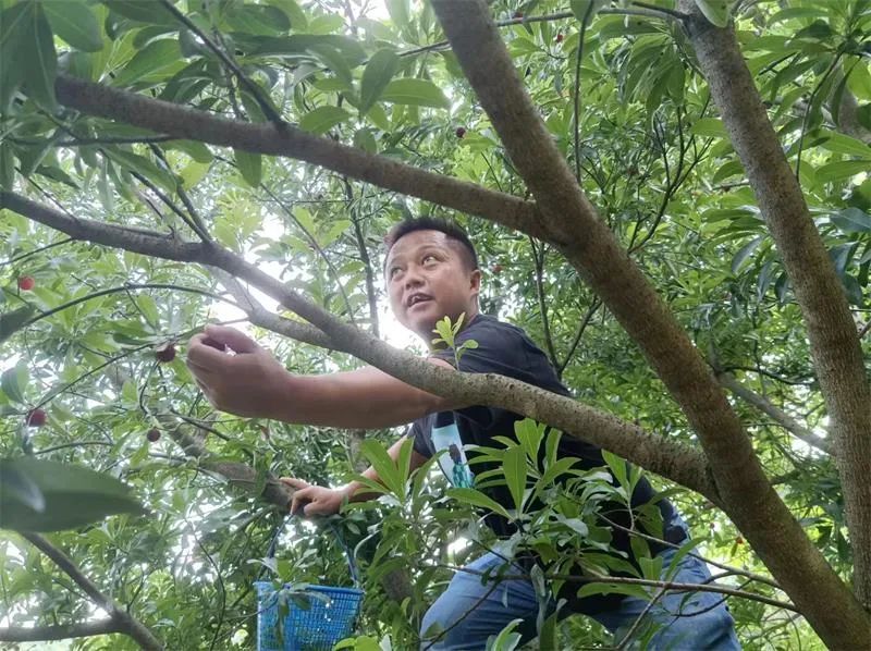 1655884083395670.jpg 05.jpg