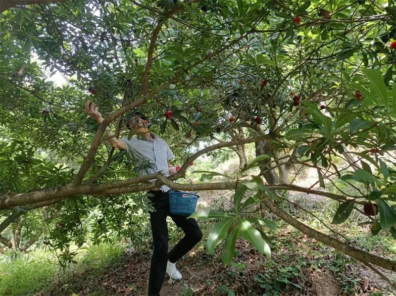 1655884166927645.jpg 08.jpg